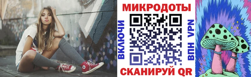 хочу наркоту  Галич  Псилоцибиновые грибы Magic Shrooms 